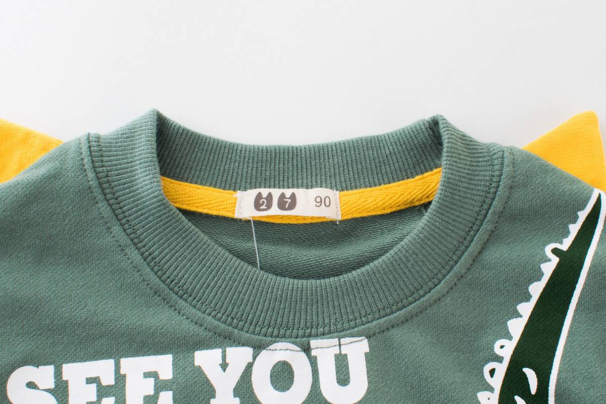 Cool Dinosaur Themed Sweater for Boys Cool Dinosaur Themed Sweater for Boys